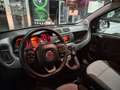 Fiat Panda Panda III 1.2 Easy Grau - thumbnail 9