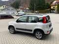 Fiat Panda 4x4 1,3 Multijet II 75 Argento - thumbnail 8