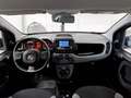 Fiat Panda Panda 1.0 FireFly S&S Hybrid City Life Grigio - thumbnail 3