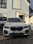 BMW X5 xDrive45e xLine - thumbnail 2