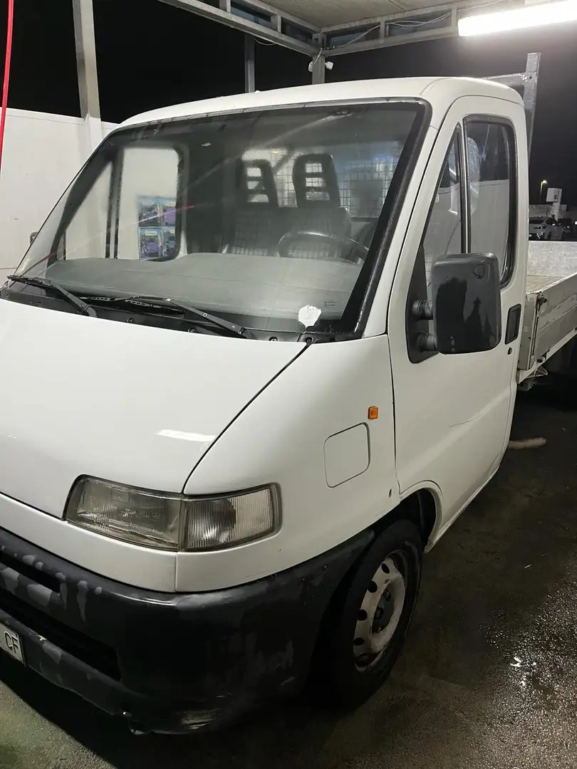 Fiat Ducato cassonato Fehér - 1