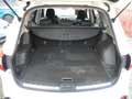 Nissan Qashqai+2 2.0 dCi DPF Acenta  4WD - 7 POSTI - "LEGGERE NOTE" Bianco - thumbnail 13