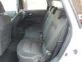 Nissan Qashqai+2 2.0 dCi DPF Acenta  4WD - 7 POSTI - "LEGGERE NOTE" Bianco - thumbnail 11