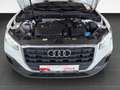 Audi Q2 35 TFSI S tronic /AHK/Sitzhz/LED/Navi/HuD Weiß - thumbnail 18