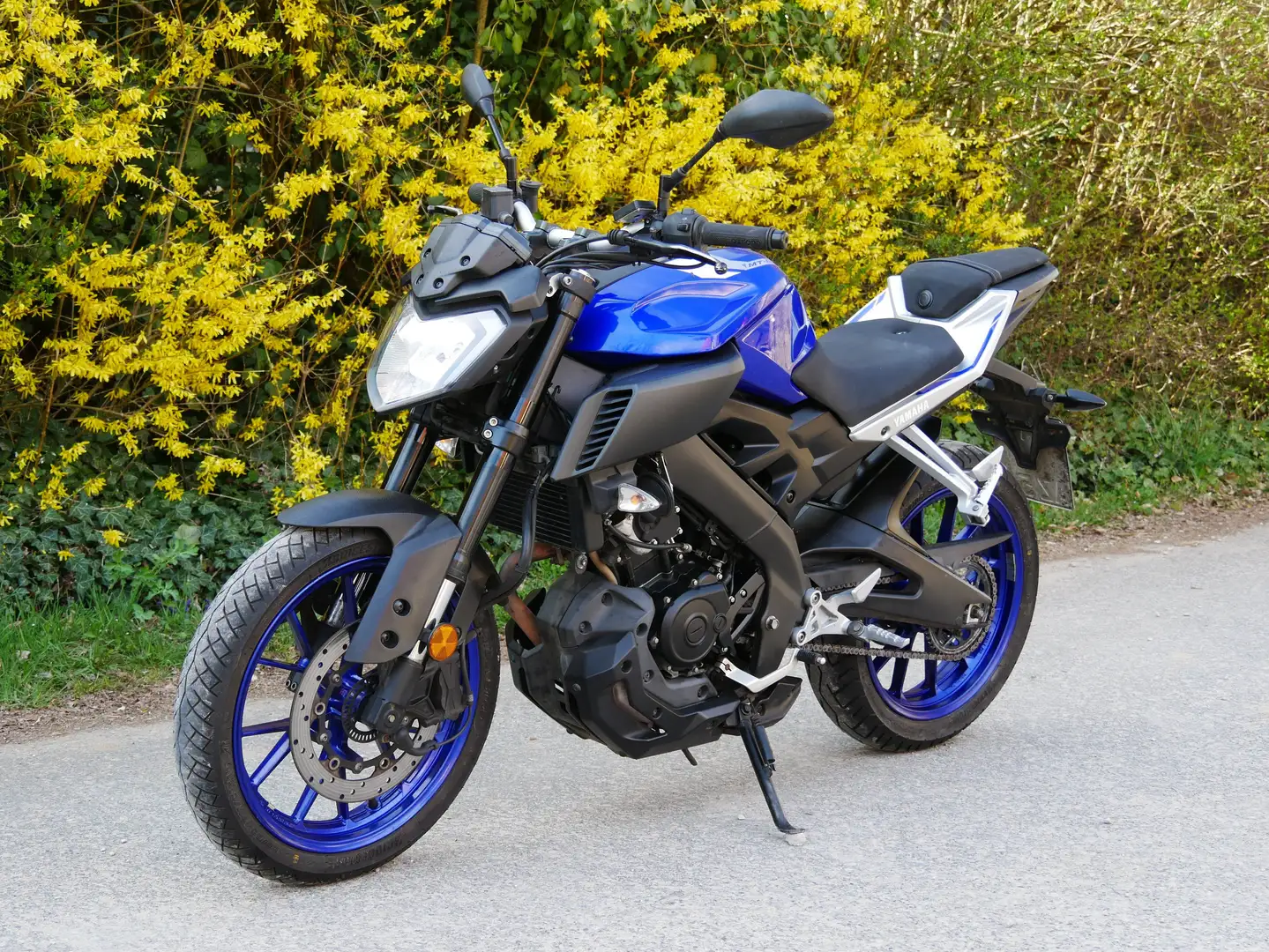 Yamaha MT-125 tiefer gelegt, Heizgriffe, USB, Lenker höher Albastru - 2