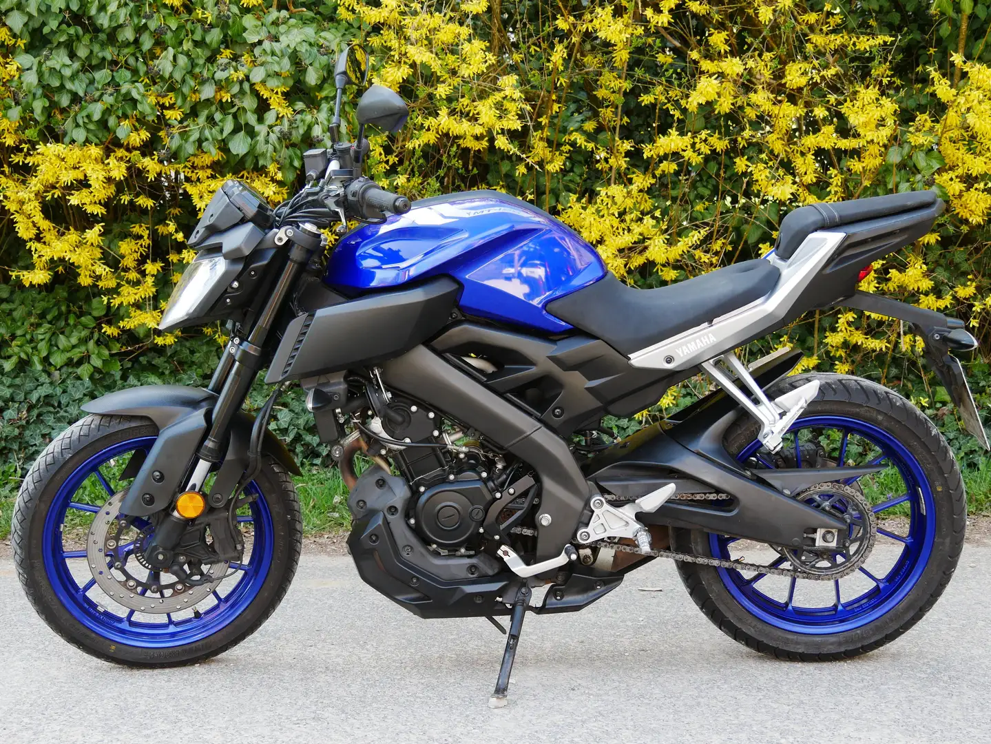 Yamaha MT-125 tiefer gelegt, Heizgriffe, USB, Lenker höher Albastru - 1