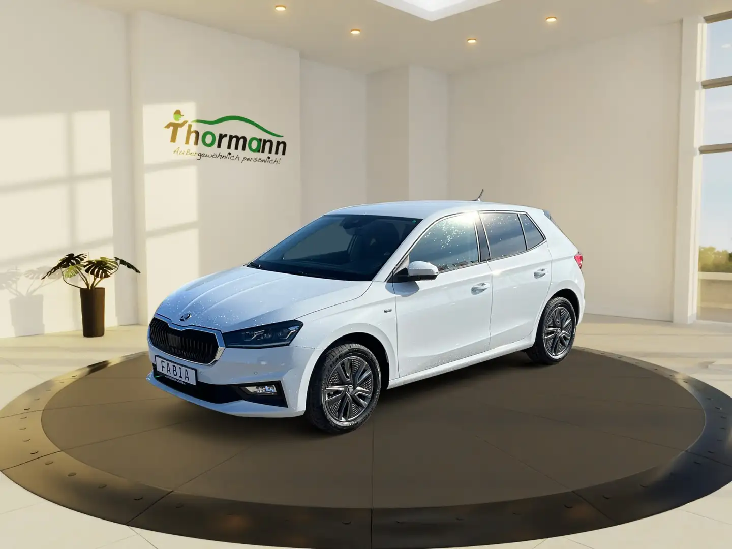 Skoda Fabia Tour 1.0 TSI LED KAMERA Weiß - 2