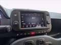 Fiat Panda 1.0 firefly hybrid Cross s&s 70cv 5p.ti Blanc - thumbnail 6