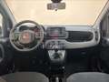 Fiat Panda 1.0 firefly hybrid Cross s&s 70cv 5p.ti Blanc - thumbnail 12