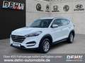 Hyundai TUCSON 1.6 GDi 2WD Navi SHZ Temp PDC Weiß - thumbnail 2
