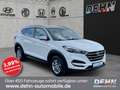 Hyundai TUCSON 1.6 GDi 2WD Navi SHZ Temp PDC Weiß - thumbnail 1