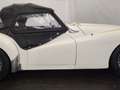 Triumph TR3 petite bouche Blanc - thumbnail 25