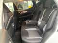 Nissan Qashqai Qashqai 1.7 dci N-Connecta 4wd 150cv cvt Blanc - thumbnail 18