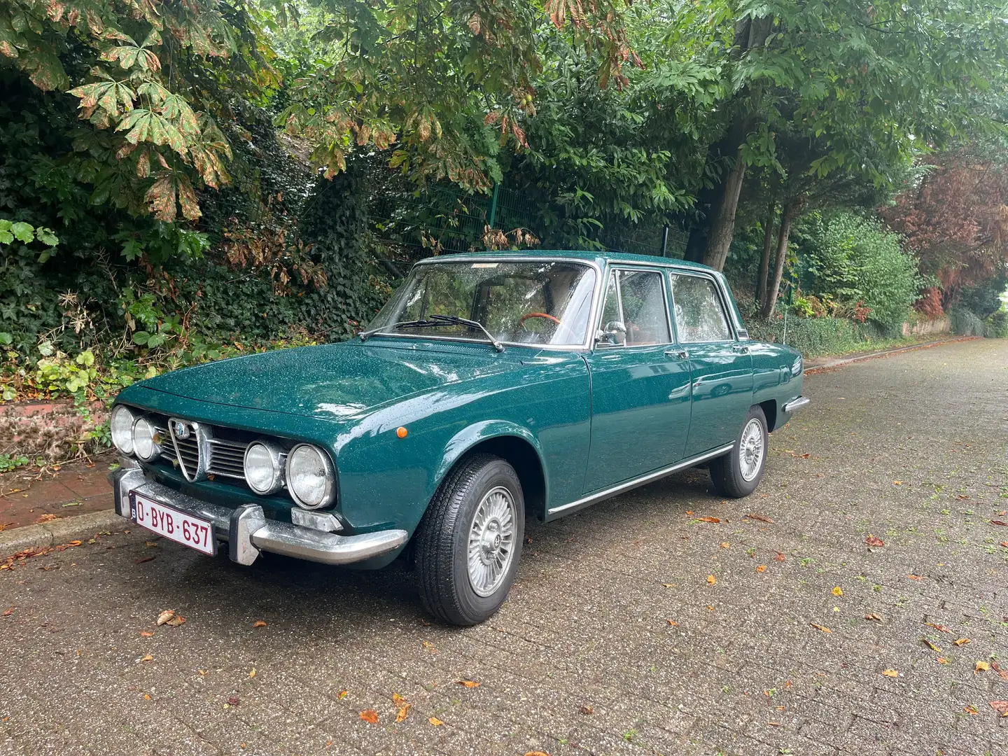Alfa Romeo 1750 Berlina Série II Grün - 1