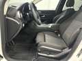 Mercedes-Benz GLC 300 4MATIC Autom *NIGHT*AHK*TEMPO*SOUND*KEY* Blanco - thumbnail 12
