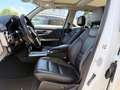 Mercedes-Benz GLK 350 GLK 350 CDI BE 4M AMG Sportpaket Weiß - thumbnail 8