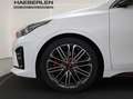 Kia ProCeed / pro_cee'd ProCeed 1.6 T-GDI GT LED+Navi+SHZ+2xKlima+4xSHZ Weiß - thumbnail 19