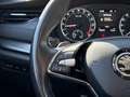 Skoda Octavia Combi 2,0 TDI 4x4 Ambition DSG Silber - thumbnail 34
