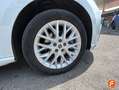 SEAT Ibiza 1.0 TSI 85kW Special Edition Xcellence Blanco - thumbnail 18