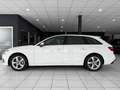 Audi A4 Avant 40 TDI advanced*KAMERA*AHK*HEUD-UP* Blanc - thumbnail 3
