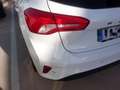 Ford Focus 1.5 Ecoblue Trend+ 120 Blanco - thumbnail 24