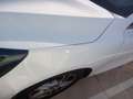 Ford Focus 1.5 Ecoblue Trend+ 120 Blanco - thumbnail 18