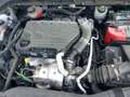 Ford Focus 1.5 Ecoblue Trend+ 120 Blanco - thumbnail 15