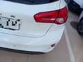 Ford Focus 1.5 Ecoblue Trend+ 120 Blanco - thumbnail 22