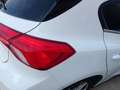 Ford Focus 1.5 Ecoblue Trend+ 120 Blanco - thumbnail 17