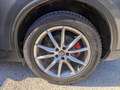Alfa Romeo Stelvio 2.0 t Executive Q4 200cv auto NO VINCOLI FINANZ. Gris - thumbnail 20