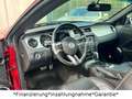 Ford Mustang 5L .GT. V8 .426 CH. 53000km TOP Mauve - thumbnail 2