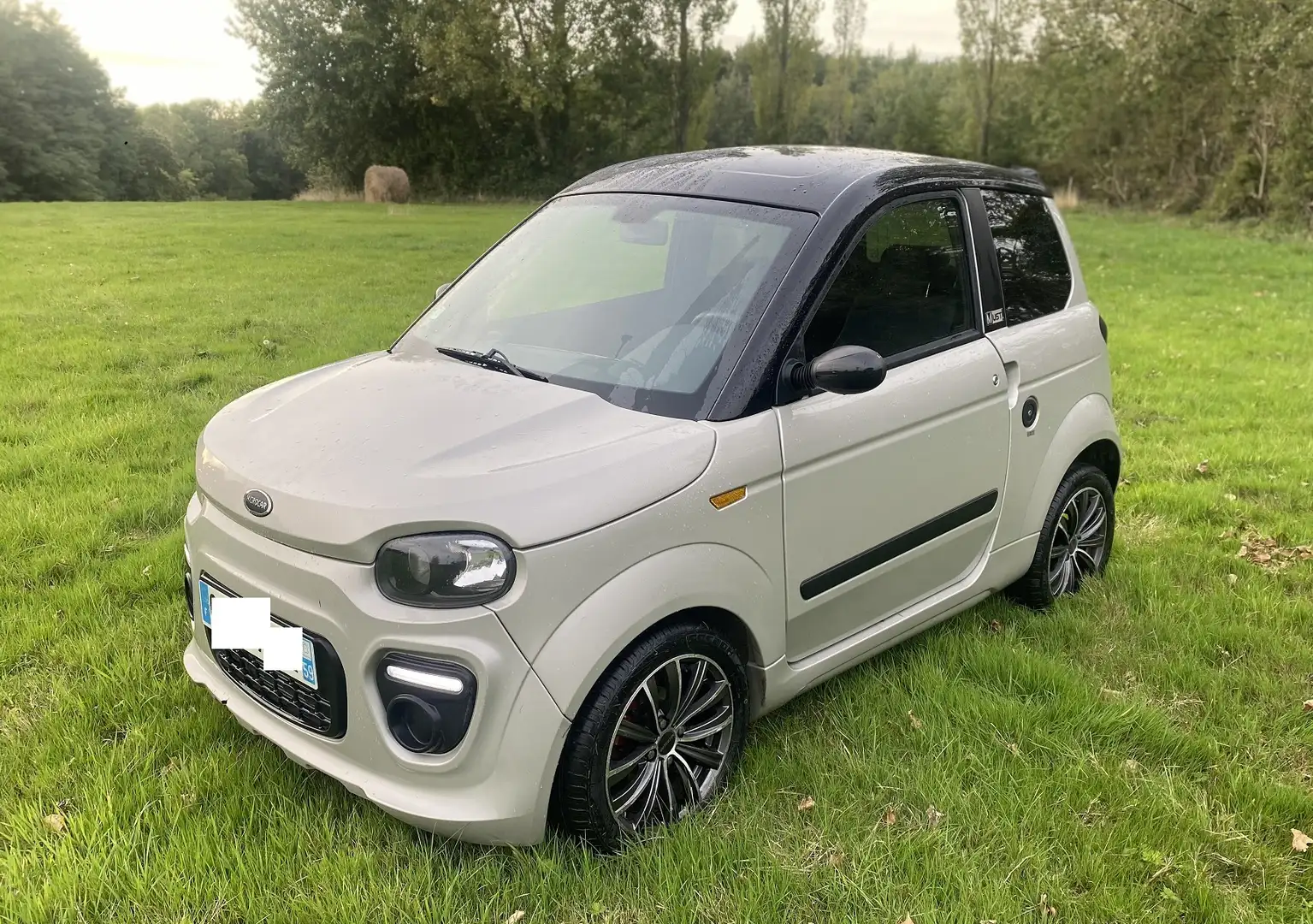 Microcar M.Go Beige - 1