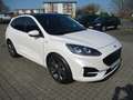 Ford Kuga ST-Line X  LED+Pano+ACC+Navi+18" Bianco - thumbnail 2