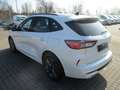 Ford Kuga ST-Line X  LED+Pano+ACC+Navi+18" Bianco - thumbnail 5