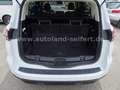 Ford S-Max 2,0 EB Titanium/7-Sitze/Aut./Navi/PDC/CAM Blanc - thumbnail 7