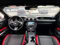 Ford Mustang Mustang Fastback 2.3 EcoBoost Aut. Gris - thumbnail 5