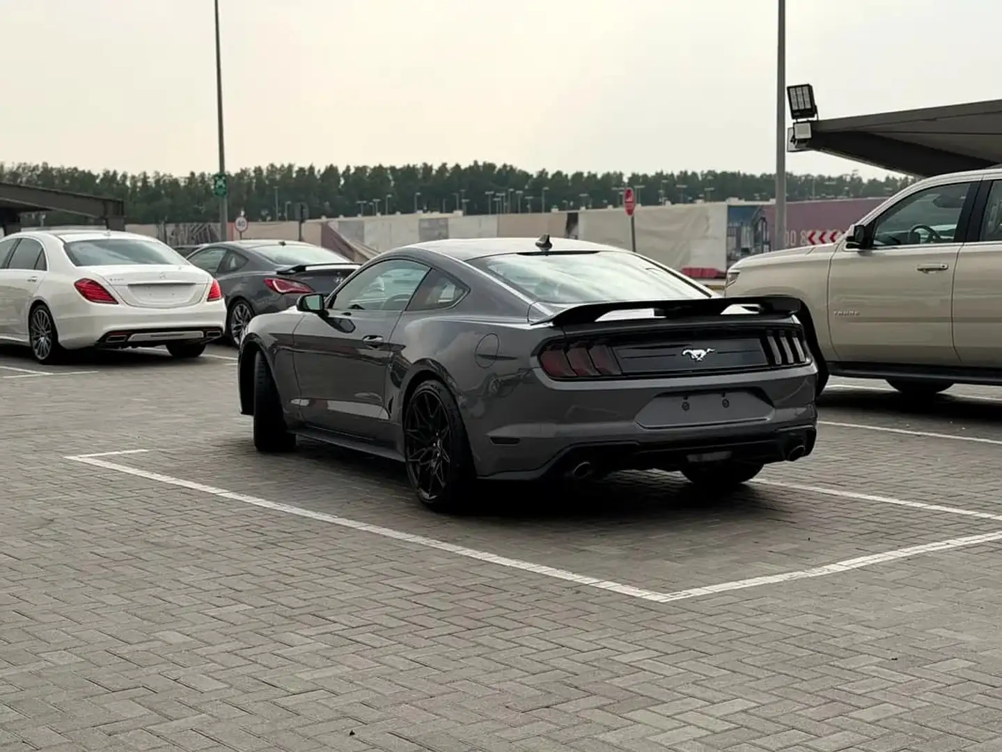 Ford Mustang Mustang Fastback 2.3 EcoBoost Aut. Gris - 2