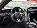 Ford Mustang Mustang Fastback 2.3 EcoBoost Aut. Gris - thumbnail 10