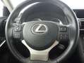 Lexus IS 300 300h Executive Grau - thumbnail 13