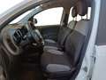 Fiat Panda Panda III 2021 1.0 firefly hybrid City Life s Bianco - thumbnail 10