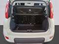Fiat Panda Panda III 2021 1.0 firefly hybrid City Life s Bianco - thumbnail 9
