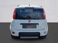Fiat Panda Panda III 2021 1.0 firefly hybrid City Life s Bianco - thumbnail 6