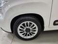 Fiat 500L 500L 1.3 mjt Lounge 85cv+UNICO PROPRIETARIO+OK NEO Bianco - thumbnail 14