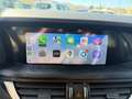 Alfa Romeo Stelvio 2.2 Turbodiesel 160 CV AT8 RWD Business Grau - thumbnail 16