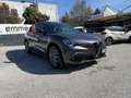 Alfa Romeo Stelvio 2.2 Turbodiesel 160 CV AT8 RWD Business Grau - thumbnail 1