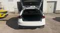 Skoda Fabia GASOLINA Blanco - thumbnail 9
