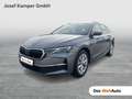 Skoda Octavia Selection TDI DSG Grau - thumbnail 1
