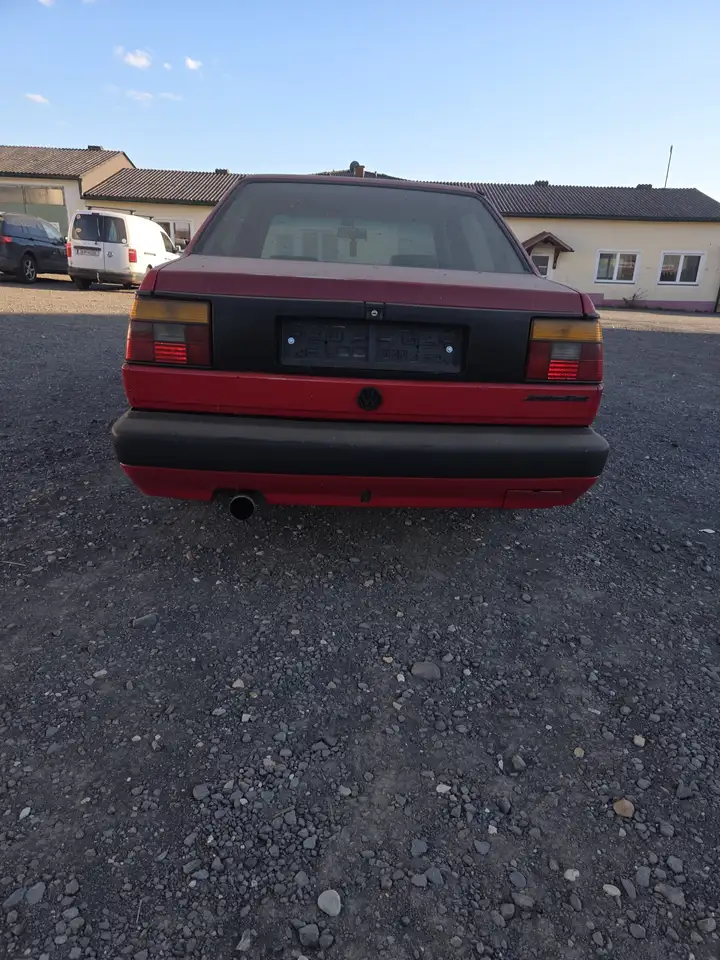 Volkswagen Jetta Super Cat, foto 4