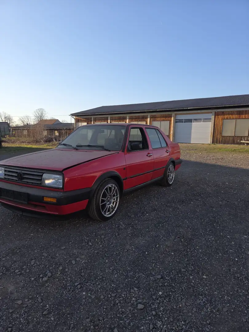 Volkswagen Jetta Super Cat - 2