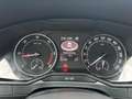 Skoda Superb Combi 1.6 TDI Ambition Business | Climate | Cruise Grijs - thumbnail 20